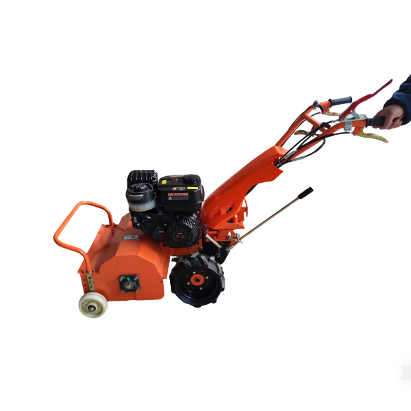 1742261178931685.png 1742261178931685.png