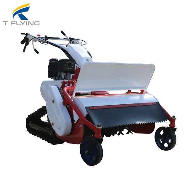 1742260749850220 (1).jpg