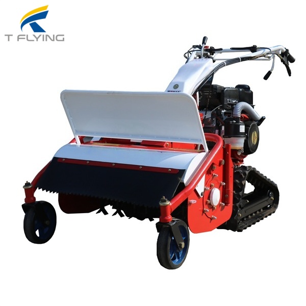 1742260777497089 (1).jpg