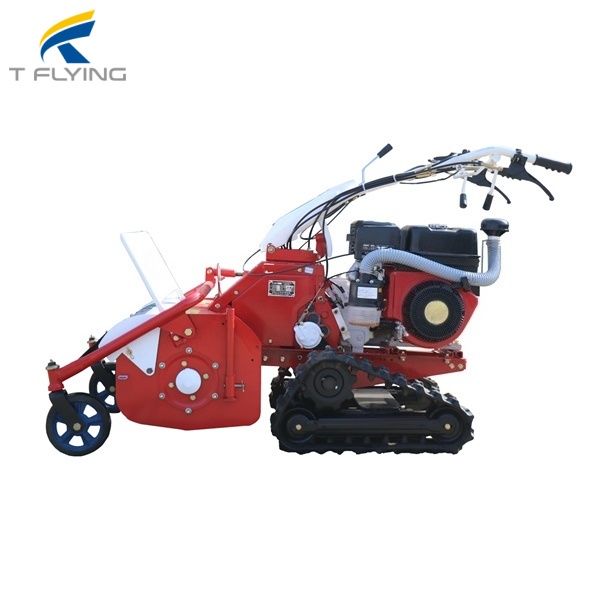 1742260883265005 (1).jpg